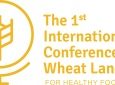 Da un’idea di Bob Quinn, pioniere del biologico e Presidente di Kamut International ltd e Kamut Enterprises of Europe bvba, si svolgerà a Bologna dal 13 al 15 giugno 2018 […]
